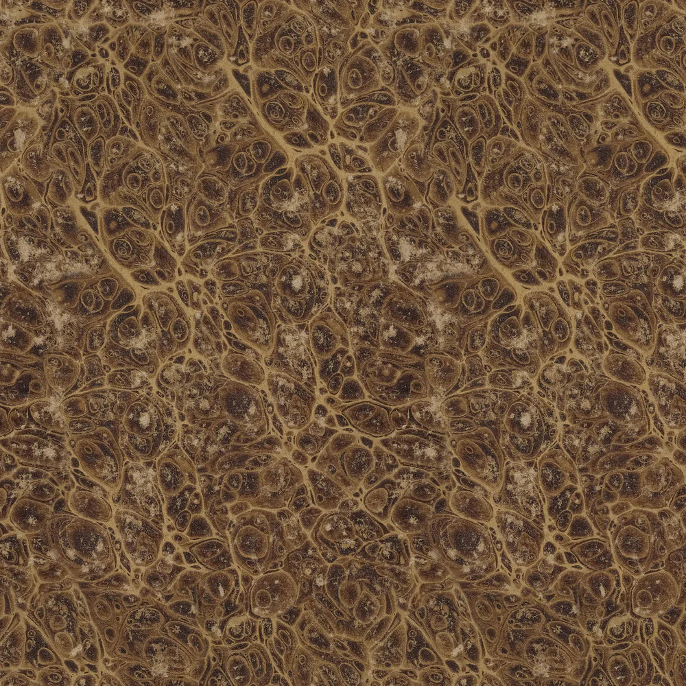 Tim Holtz Palette PWTH259.Neutral