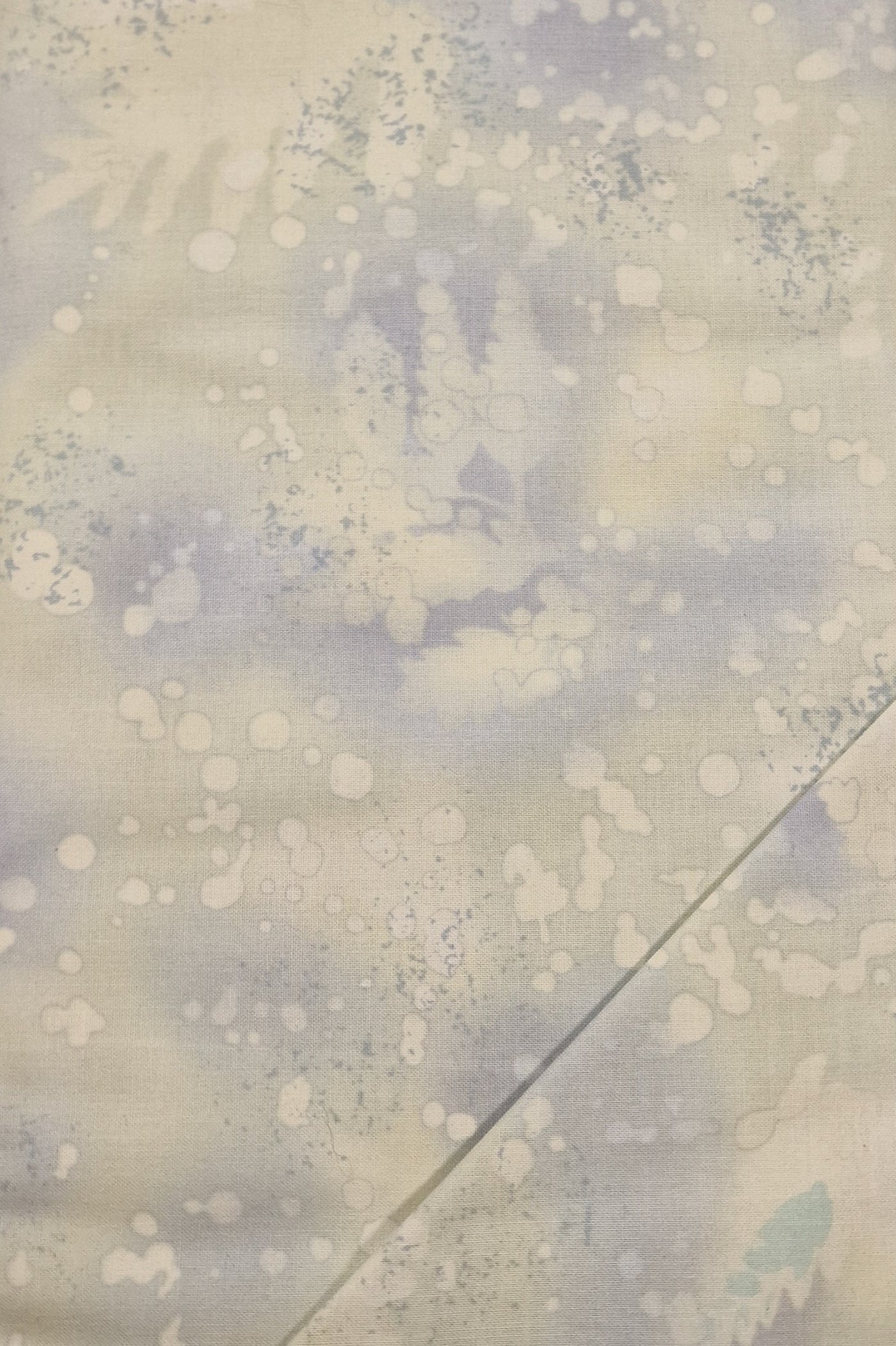 Fossil Fern - Basic 00528