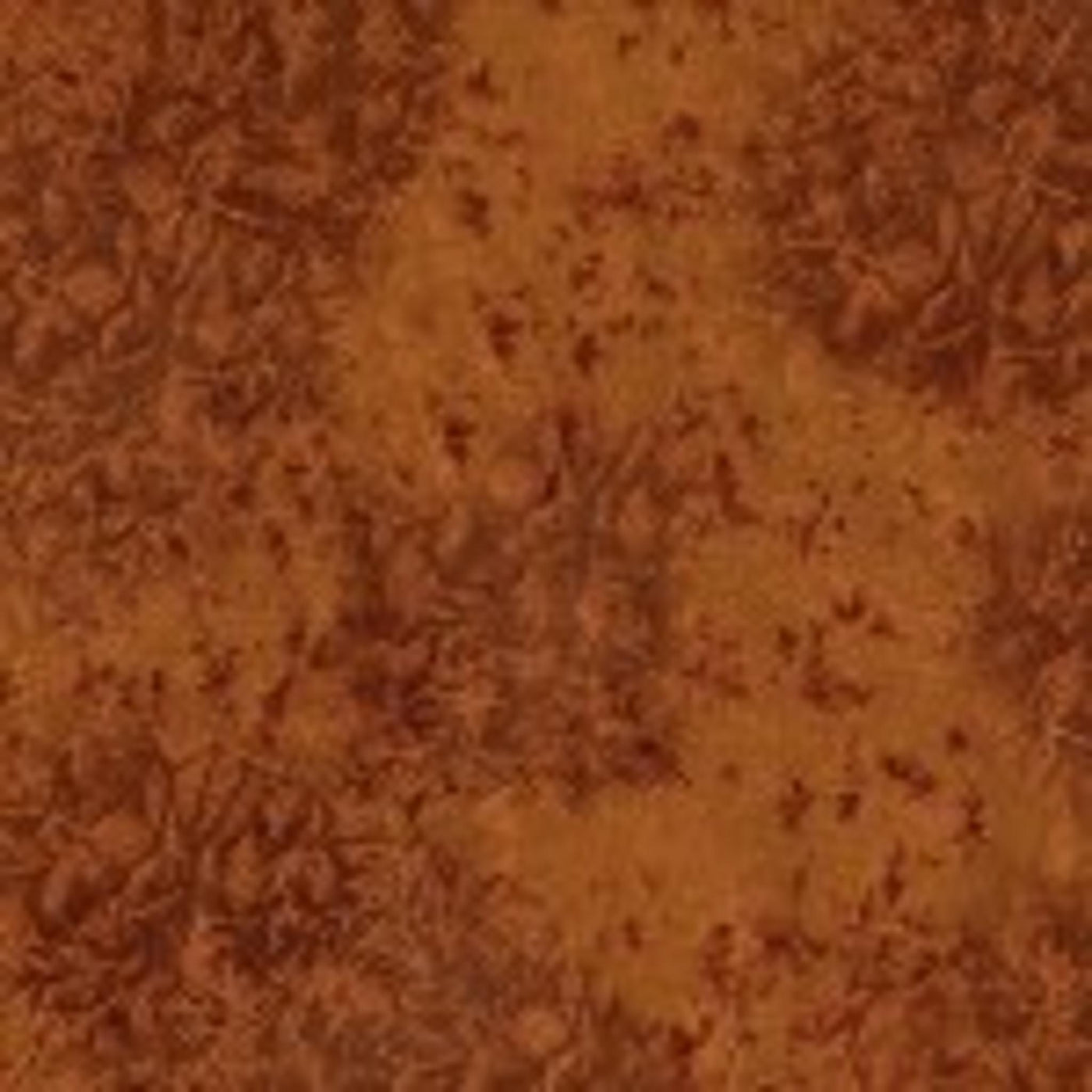 CM0376 Coin D