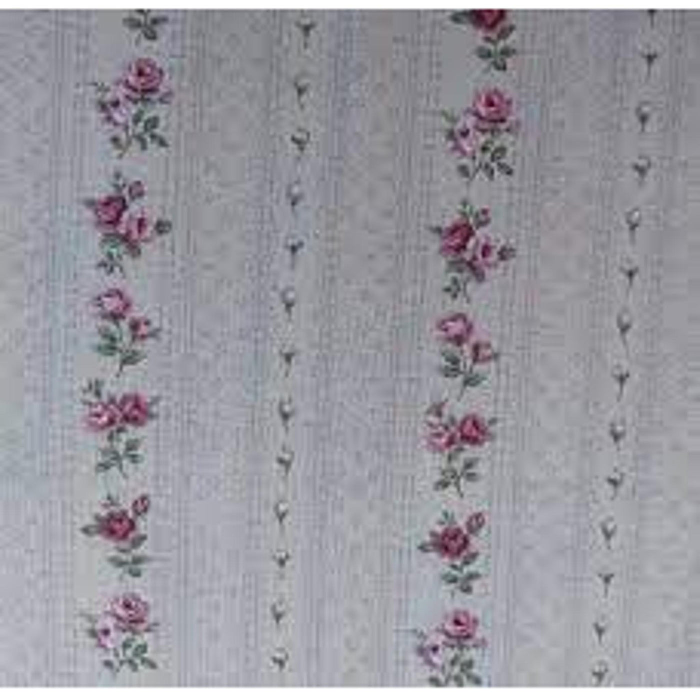 CrLiva-Rose MSD21-109 4502-134