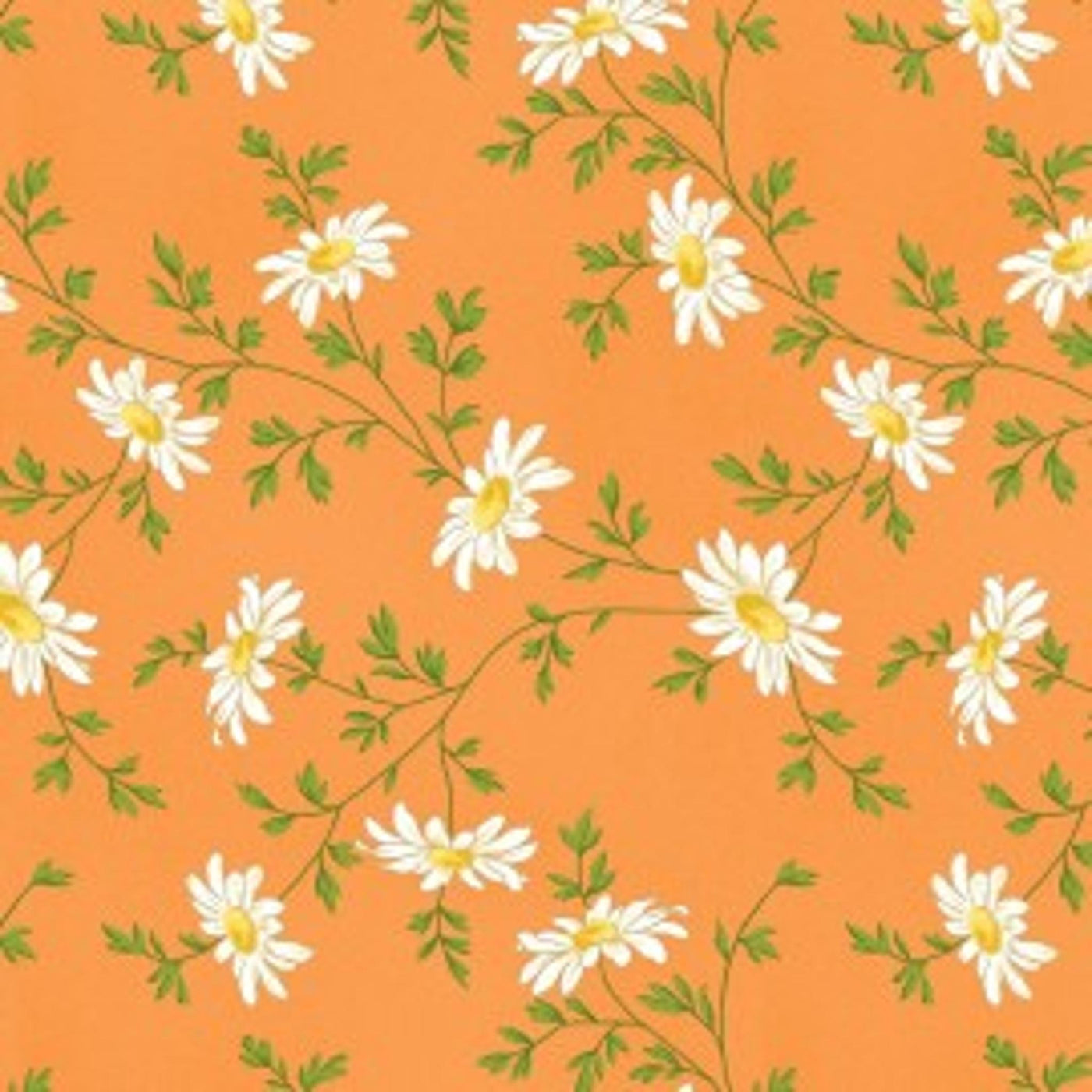 MAS9644-O Fresh as a daisy