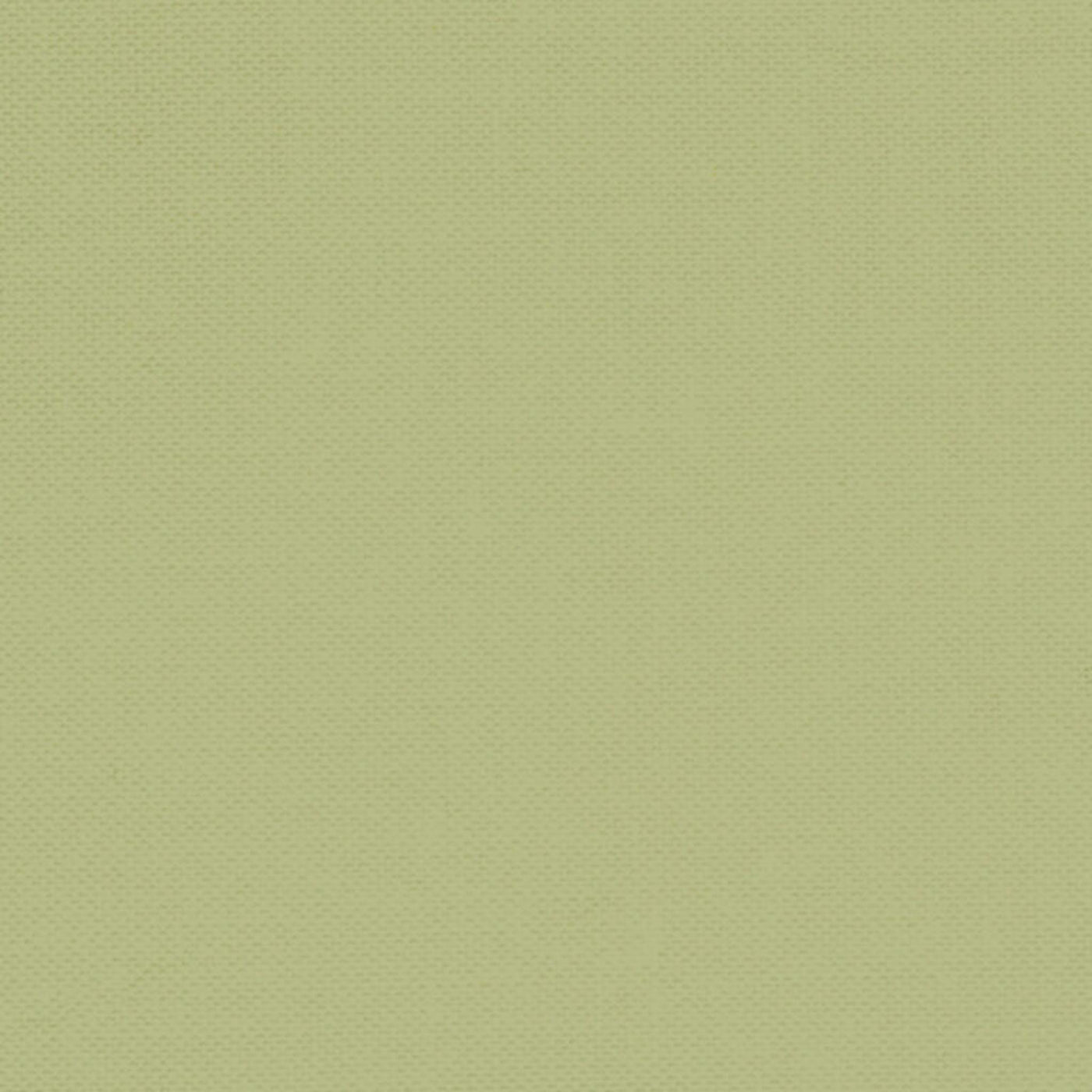 Pistachio - basic Natalie Bird