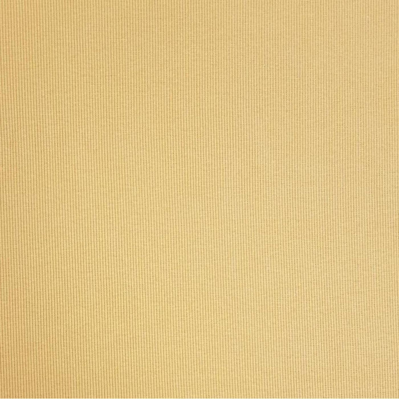 Ribbestrikket organic RIB - LX2022 Dry Mustard