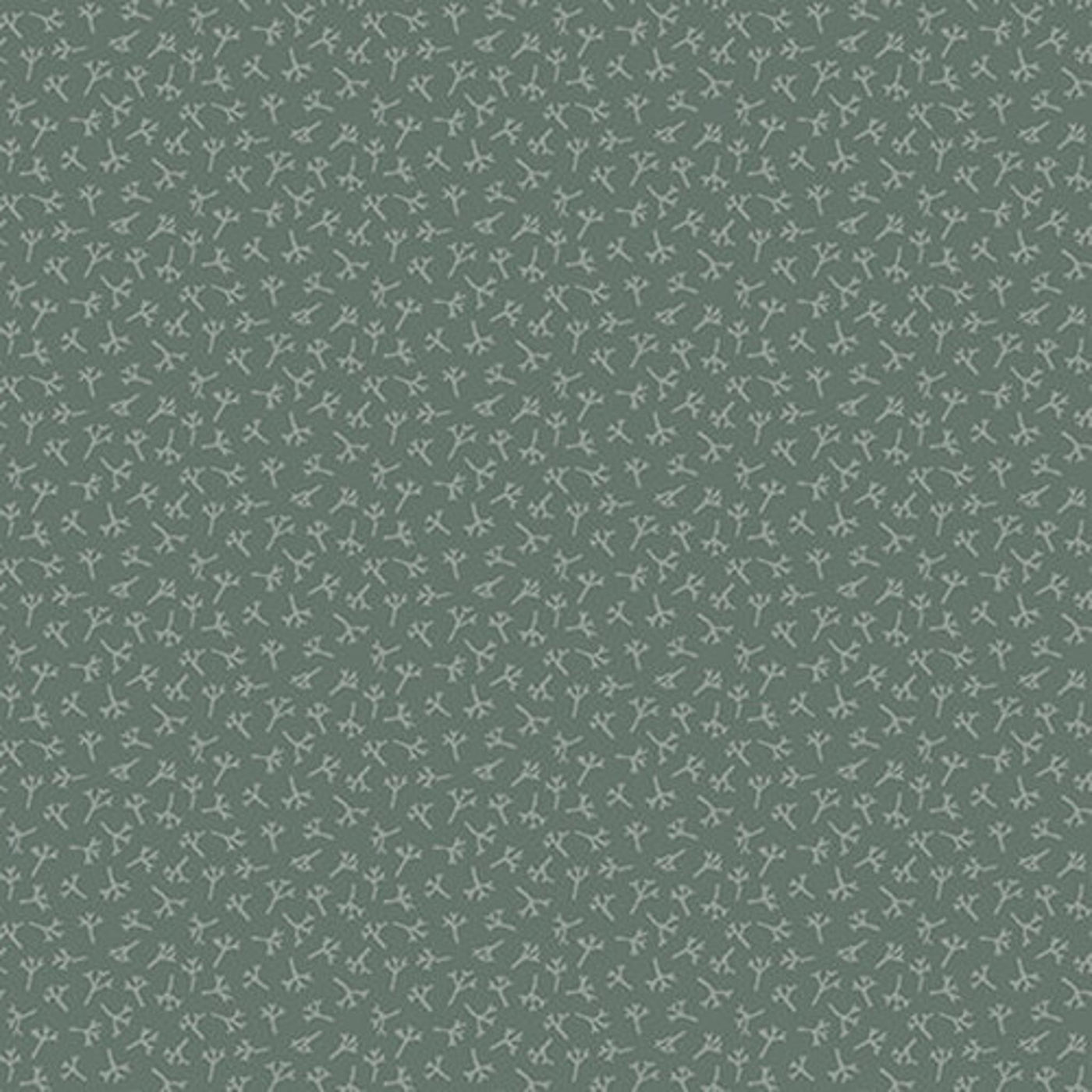 Tealicius 2413-77
